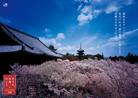 仁和寺 2010年春そうだ京都行こう: そうだ京都行こう。そうだ京都は今